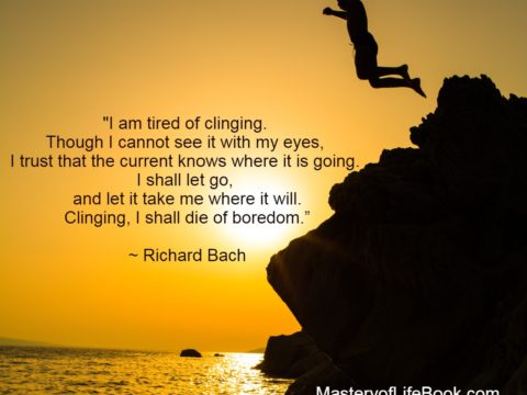 Bach quote-illusions-clinging-boy jumping into the sea