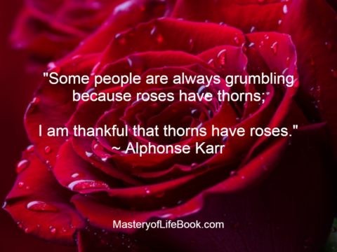 red roses-thankful-perspective-Karr-quote