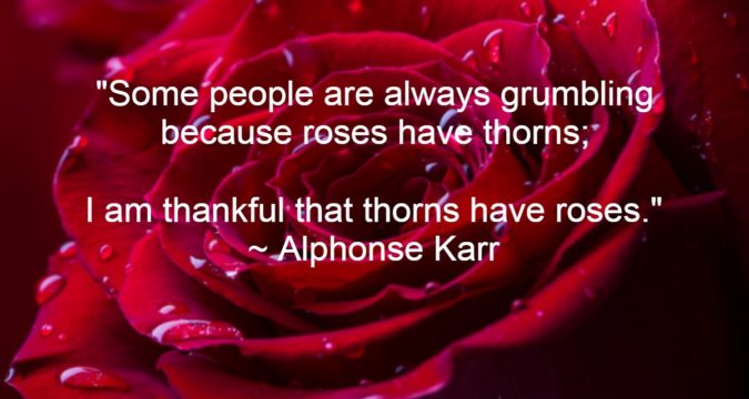 red roses-thankful-perspective-Karr-quote
