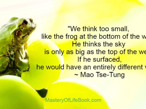 perspective-frog-well-quote-Mao Tse-Tung